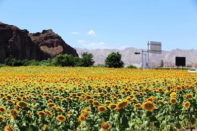 《真女神转生5》恶魔介绍：所罗门王72柱魔神之一单卡拉比